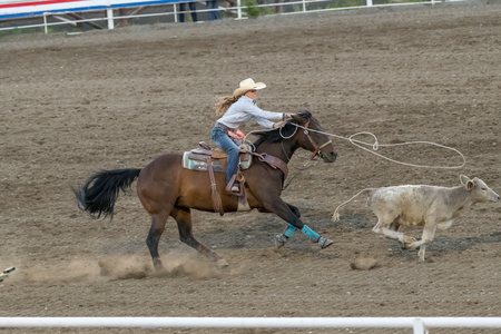 CODY, WYOMING - JUNE 29, 2018: Cody Stampede Park arena. Cody is the Rodeo Capitol of the World. 2018 marks 80th anniversary of nightly performances.のeditorial素材