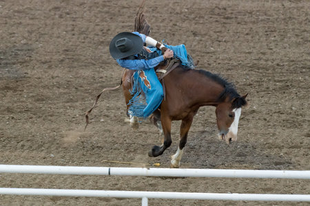 CODY, WYOMING - JUNE 29, 2018: Cody Stampede Park arena. Cody is the Rodeo Capitol of the World....