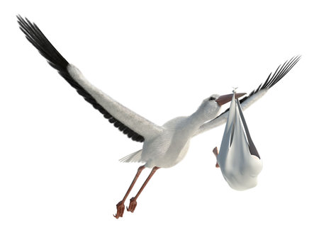 Classic depiction of a stork in flight delivering a newborn baby
