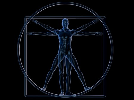 Xray Vitruvian man isolated on whiteの写真素材
