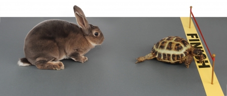 turtle winning the race against a rabbitの写真素材