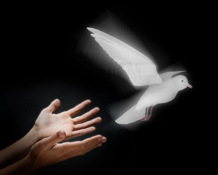 Two hands on a black background releasing a luminous dove into flightの写真素材