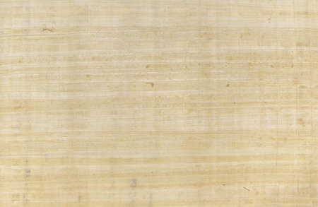 Close up of a piece of Papyrus.の写真素材