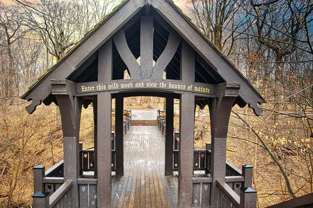 Bridge to the woodsの写真素材