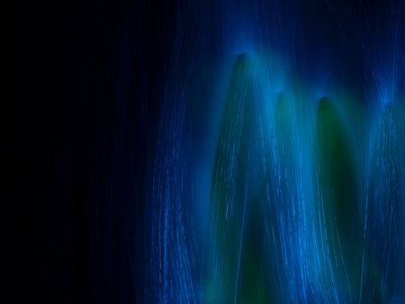 Abstract
