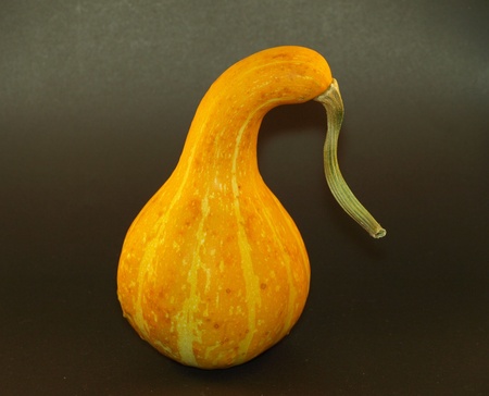 Pumpkinの写真素材