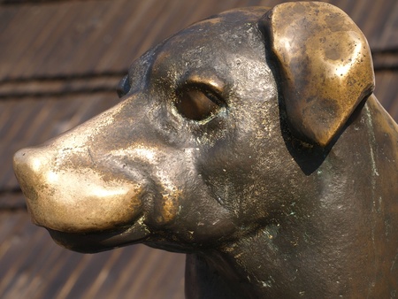 Bronze statue of dog in Kazimierz Dolny, Polandのeditorial素材