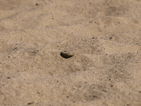 Sand