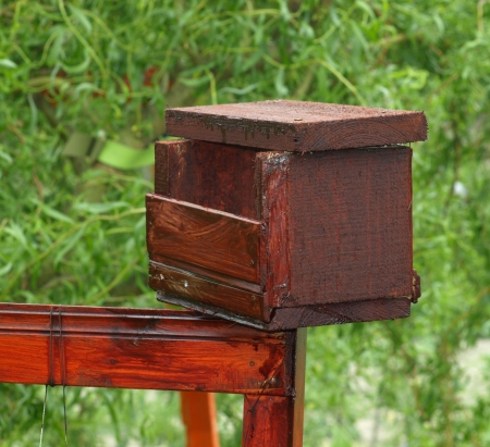 Bird houseの写真素材