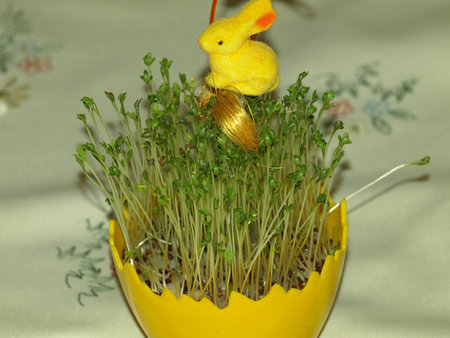 Easter decoration