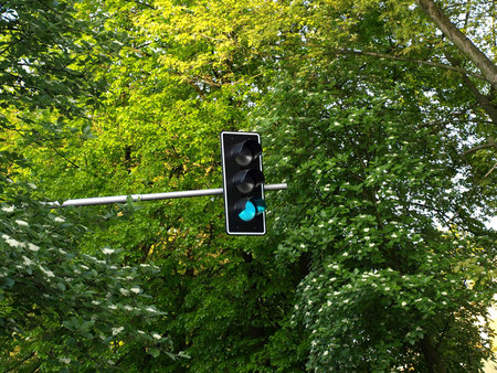 Green traffic light near trees