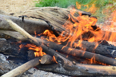Campfireの写真素材