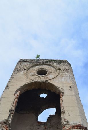 Ujazd, Poland - May 29, 2016: Castle ruins "Krzyztopor" in Ujazd near Opatow in Polandのeditorial素材