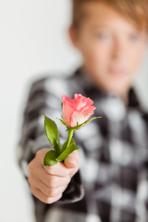 Diffuse Portrait of Young Teenage Boy Holding Out Delicate Pink Rose Toward Camera in Studio with White Background and Copy Space,の写真素材