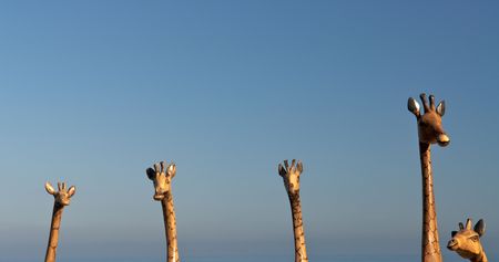 Wooden Giraffes Souvenirsの写真素材