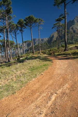 Hiking Path towards Mountainの写真素材
