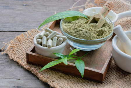 Andrographis Paniculata herbal capsules in white cup, Paniculata extract powder in glass bowl and leaves on sackcloth, white medicinal cup in wooden saucer on an old wooden table.の写真素材