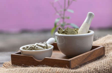 Herbal capsules, and Andrographis Paniculata herb extract powder in white cup on sack and on wooden table.の写真素材