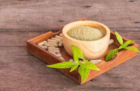 Andrographis Paniculata extract powder in wooden bowl, saucer, leaf, and herbal capsules, on wooden background.の写真素材