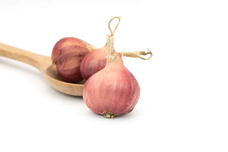 Garlic buib isolated on white background.の写真素材