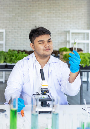 Agricultural Science students examine seedlings of in vitro plants in university labs.の写真素材