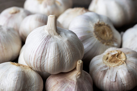Closeup fresh garlic bulbs on wooden table. Organic food concept.