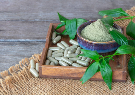 Andrographis paniculata capsules herbal, extract powder in ceramic bowl and leaves on wooden saucer with sackcloth and on wooden background.の写真素材