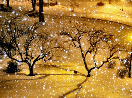 Winter in NYCの写真素材