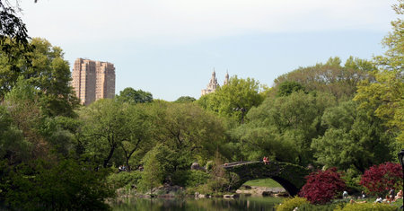 spring in central-parkの写真素材