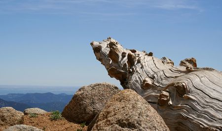 Mountain view in Coloradoの写真素材