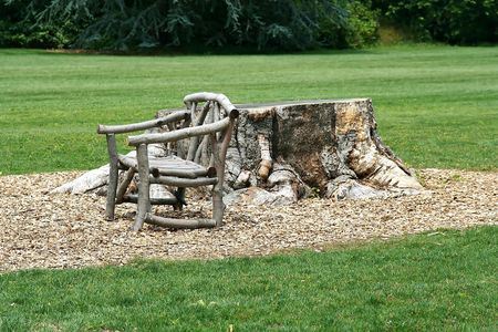 In the Gardenの写真素材