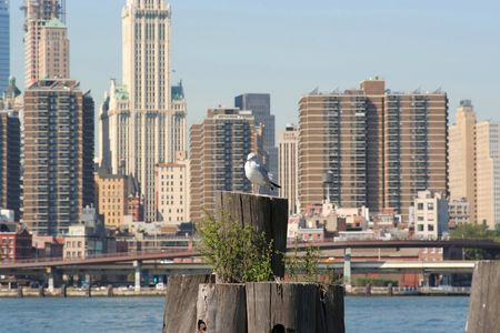 Lower Manhattan skyline, New York Cityの写真素材