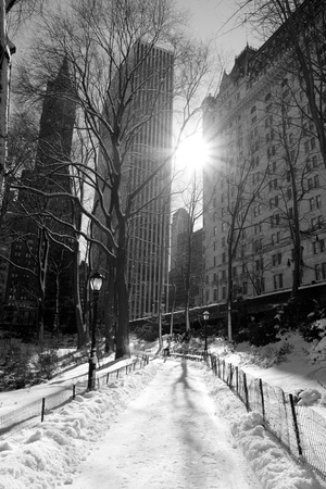 Winter Snow in Central Park, New York Cityの写真素材