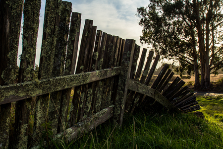 An old weathered fenceの写真素材