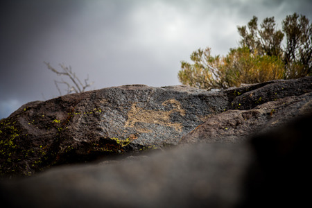 10,000 year old petroglyphs in Little Petroglyph canyon in the Cosos Mountains - Californiaの写真素材