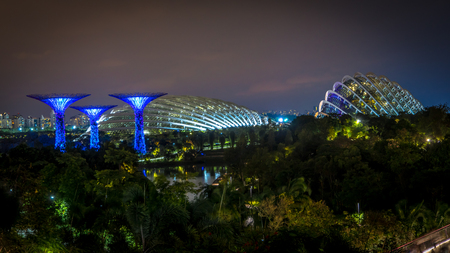 Super Trees and Gardens by the Bay at nightのeditorial素材