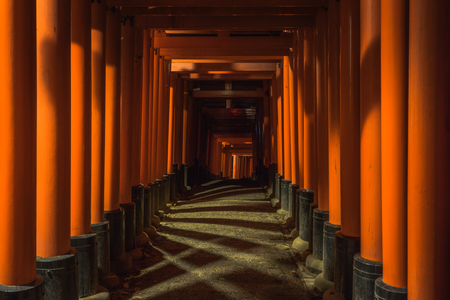 Shadows along the torii tunnel path at Fushimi Inari shrine in Kyotoのeditorial素材