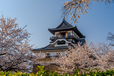 Inuyama Castle. 1 of 12 original castles in Japan. A national treasure - Aichi  Prefecture.のeditorial素材