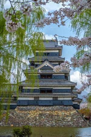 Matsumoto Castle with cherry blossoms in springのeditorial素材