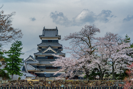 Matsumoto Castle with cherry blossoms in springのeditorial素材