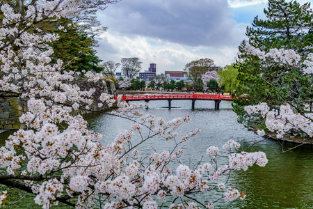 Matsumoto Castle, also known as the "Crow Castle" is a Japanese National Treasure. Matsumoto Castle is a flatland castle built in 1593, it is one of the few remaining original castles in Japanのeditorial素材