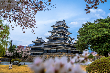 Matsumoto Castle with cherry blossoms in springのeditorial素材