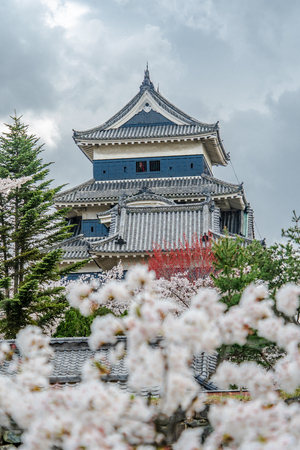 Matsumoto Castle with cherry blossoms in springのeditorial素材