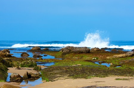 Natural Tide Pools Along Pacific Ocian Coastline ~ Image Made During Low Tide の写真素材