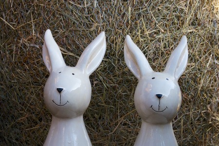Two Rabbits out of Porcelainの写真素材