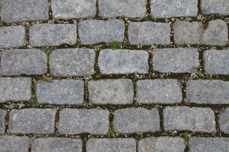 Close-up of rectangular, gray and rough-hewn paving stones