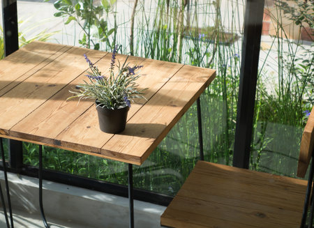 Violet lavender flowers and green leaf in flowerpot on wooden table ( twilight and evening tone color )の写真素材