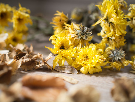 Yellow dried flowers on rustic wooden planks background ( Vintage tone color )の写真素材