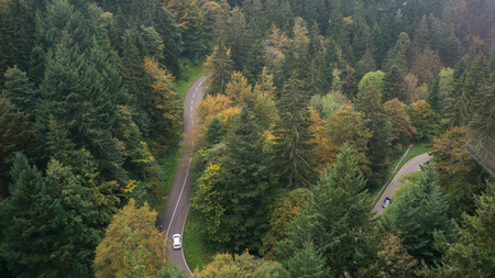 aerial shot of a mountain road in colorful autumn forestの写真素材