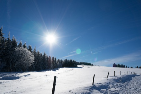 Winter landscape. Cold day and blus sky, Black Forest, Germanyの写真素材
